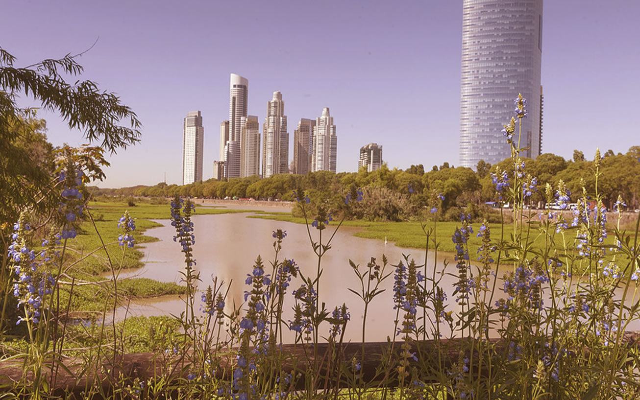 Biodiversidad urbana: conservar en el campo y en la ciudad