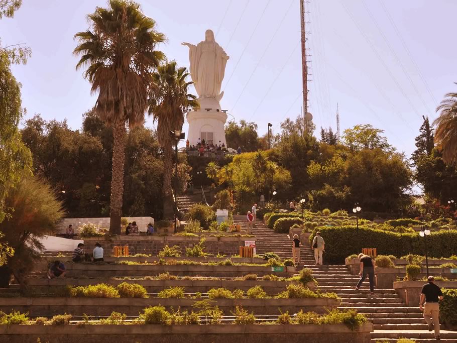 Biodiversidad urbana: conservar en el campo y en la ciudad