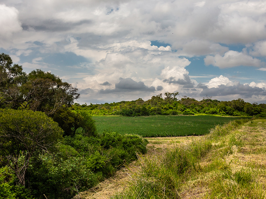 La Agricultura Regenerativa potenciando la biodiversidad