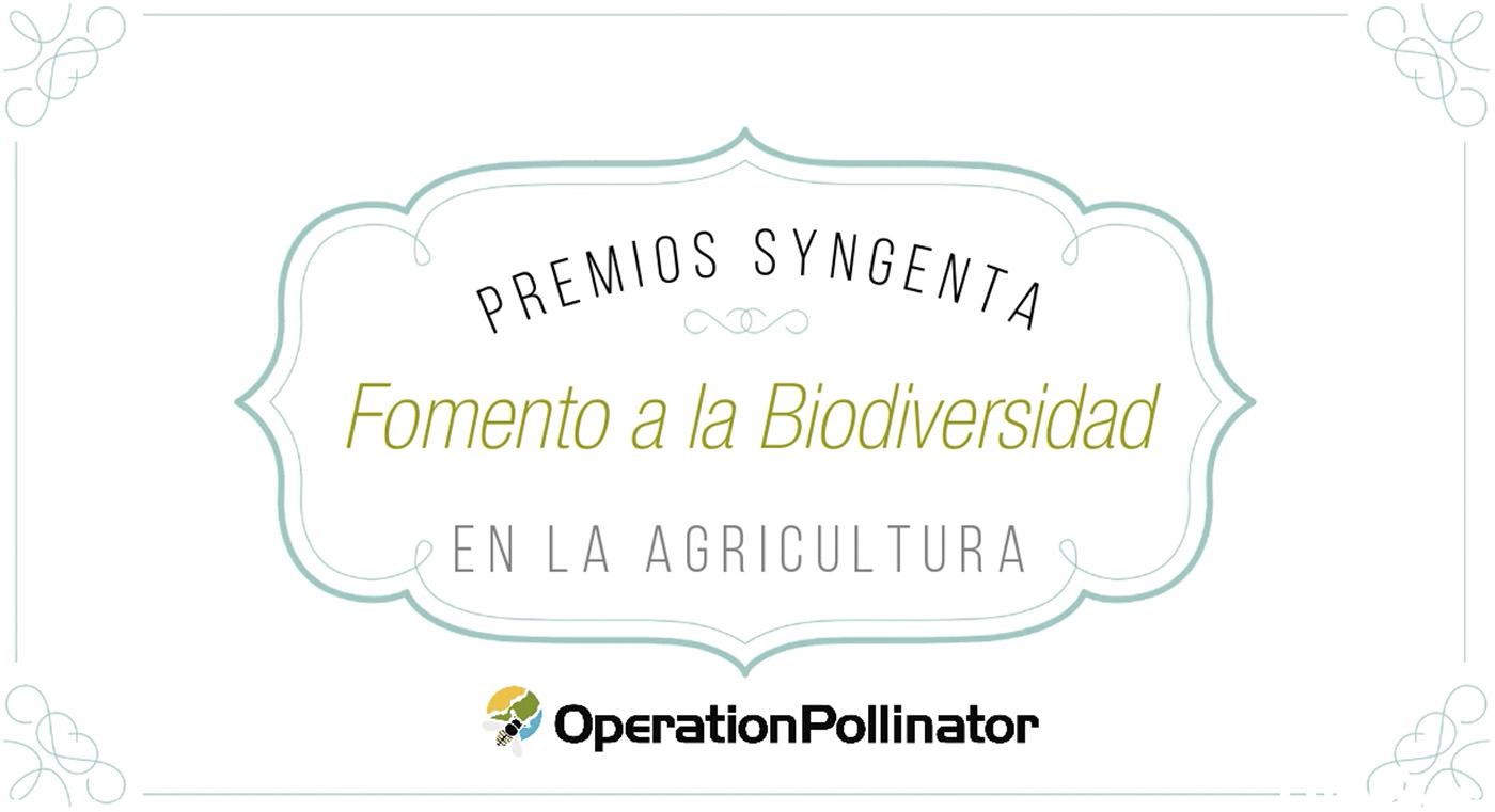 Syngenta reconoce trabajo de campos agrícolas por una agricultura sustentable